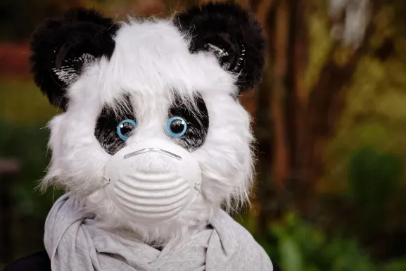 Casino Hot Line Ondersteuning